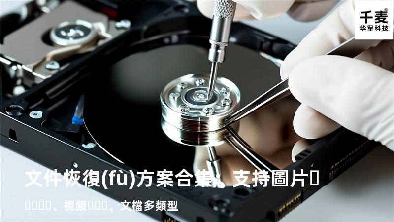 文件恢復(fù)方案合集：支持圖片、視頻、文檔多類型 